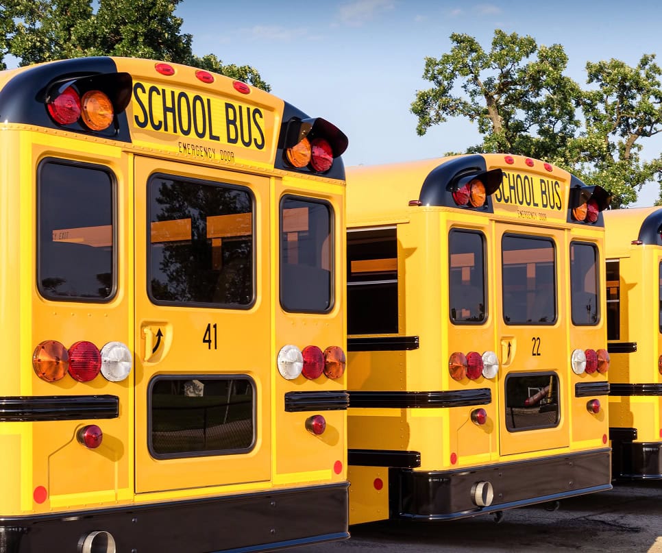 stop-sigh-school-bus 1